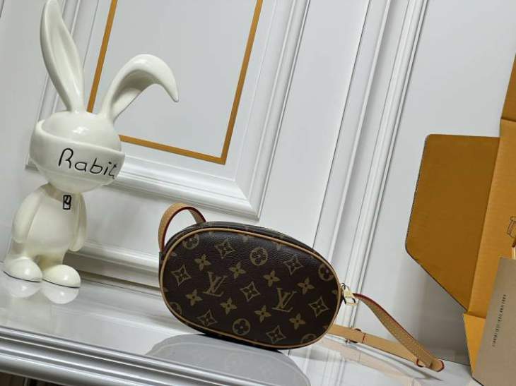 Picture of Louis Vuitton Handbags _SKUfw213817487fw